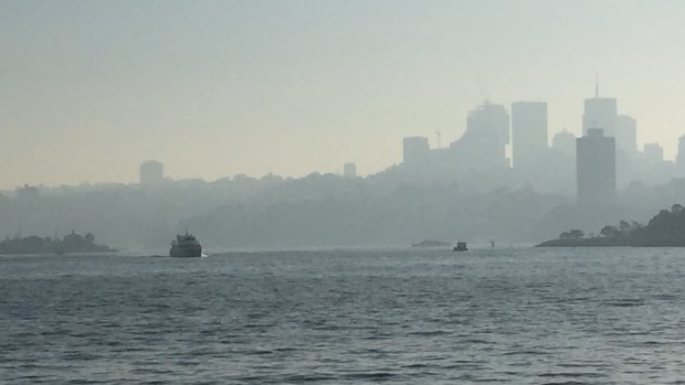 Haze hangs over the harbour because of controlled burns in Sydney's west, north and south. More is planned for this weekend. 