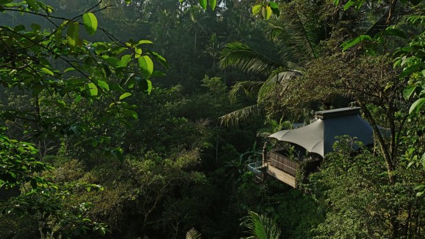 Here you'll be greeted with an ''orchestra of the forest'': Capella Ubud.