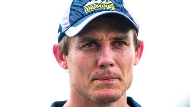 Been there, done it: Stephen Larkham will add his wealth of rugby knowledge to the current Wallabies squad. 