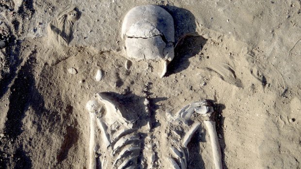 The skeleton of a man found prone on the ancient shore of Lake Turkana in Kenya. 