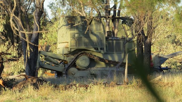 No need for camouflage next week?: There are concerns that farmers will be able to clear much more land after new codes come into force.