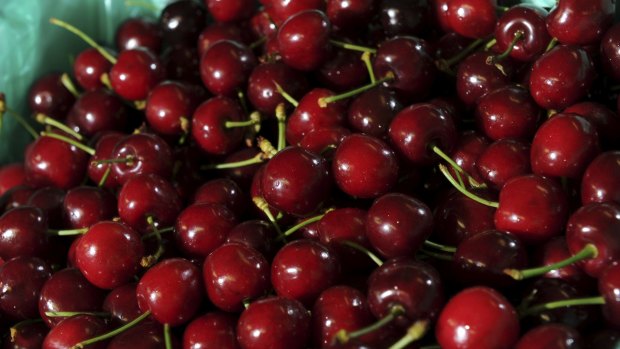 Australia's horticulture industry wants to lift cherry exports by 340 per cent by 2020-21.
