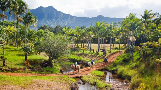 Horse riding in the centre of Kauai in Hawaii.