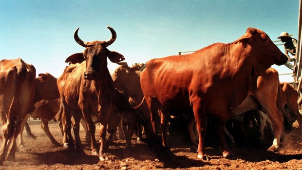 Breaking out: Leaving the herd to invest through a self-managed super fund is not for everyone.