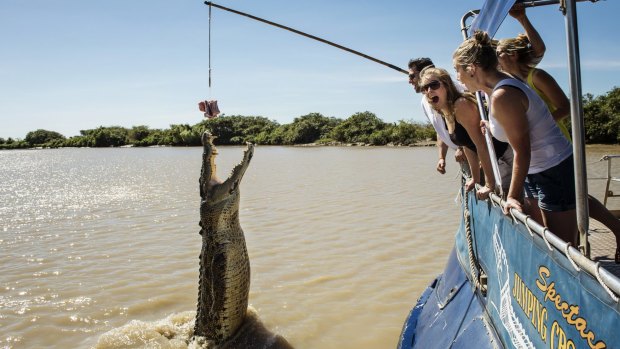 Adelaide River's infamous jumping crocodile cruise.