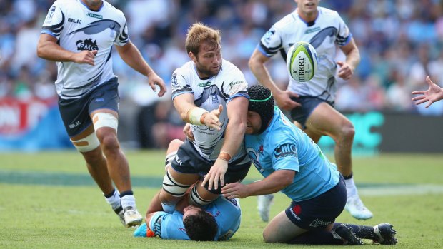 Warrior: Ben McCalman was a major presence for the Force against the disappointing Waratahs. 