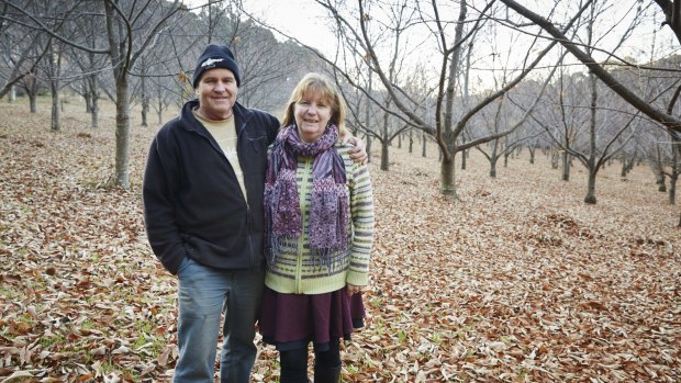 David and Helen McIntyre in their chestnut orchard.