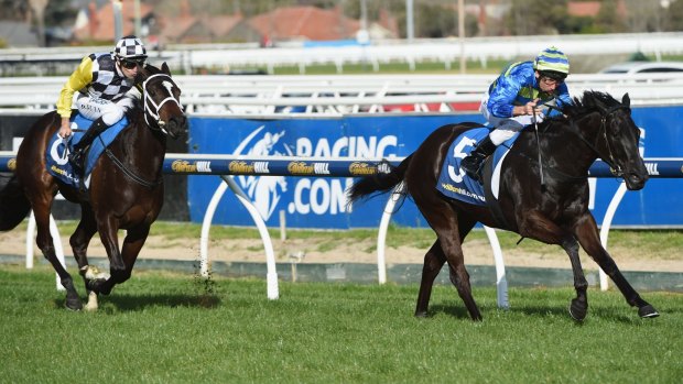 Comfortable win: Damien Oliver guides Petits Filous to victory in the Lister Quezette Stakes at Caulfield in August.