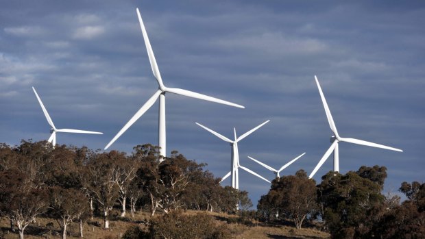 The federal government has ordered the Clean Energy Finance Corporation against investing further in wind energy.