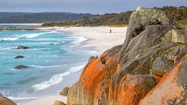 Low impact: Camping is free at Cosy Corner in Tasmania’s Bay of Fires.