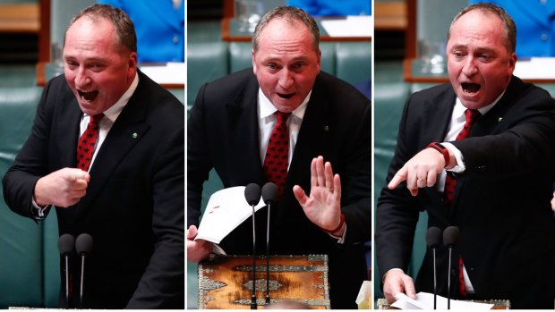 Deputy Prime Minister Barnaby Joyce during Question Time at Parliament House.