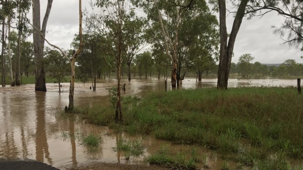A man has died in floodwaters at Lagoona Station, near Monto.