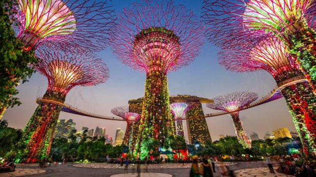 Singapore's Supertree Grove in the Gardens by the Bay.
