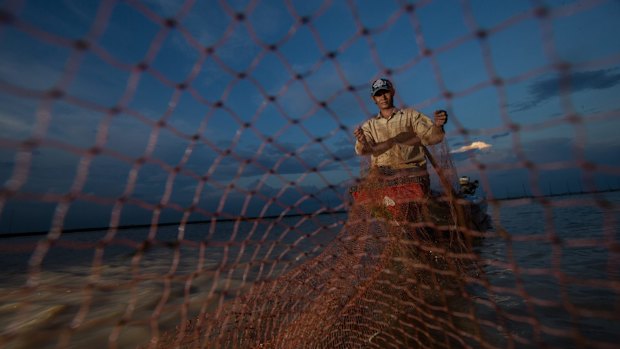 In the wet season the Mekong forces the Tonle Sap Lake to flow backwards causing it to rise by more than 11 metres and repopulating fish, a valuable source of protein to the Cambodian population. 