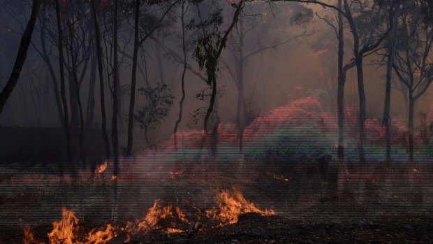 Jessie Boylan, Rupture, landscape fire 2018; video still, courtesy of the artist.
