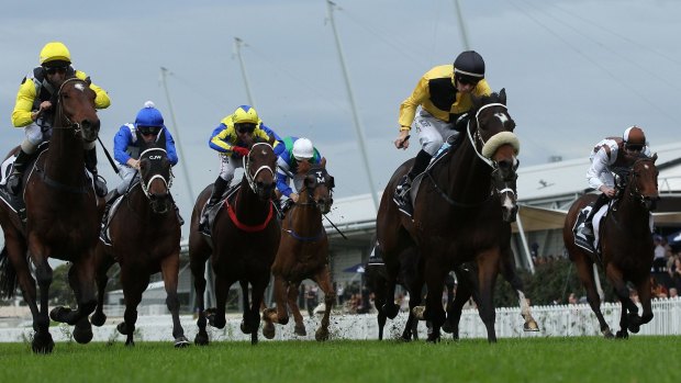 Top spot: Jason Collett (black cap) rides You'll Never to victory at Rosehill Gardens.