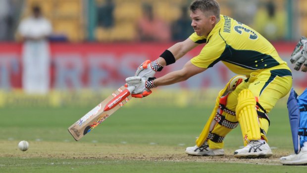 David Warner scored a century in his 100th one-day international.
