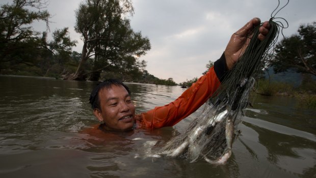 Laotian fisherman Siett Chanthasounthone collects fishing nets set the previous evening. 