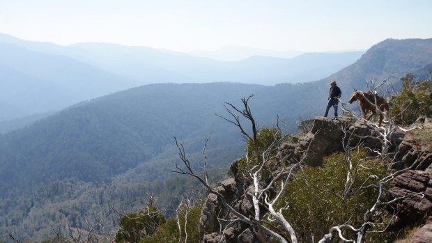 The proposed Alpine National Park walk is expected to take five days.