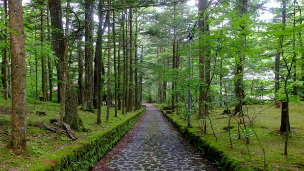 Cobbled pathway often known as "Happy Valley", Karuizawa, Nagano, Japan.
