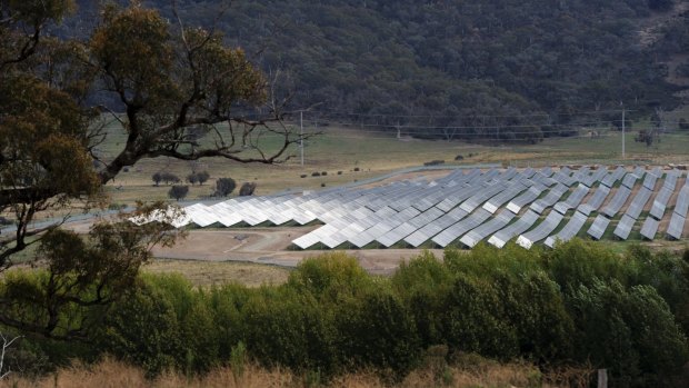 The solar energy farm at Royalla in Canberra's south.