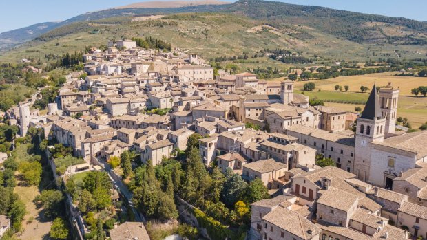 Spello is a hilltown surrounded by olive groves.