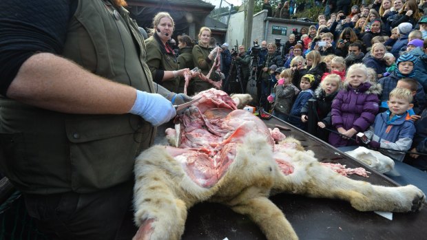 This year the zoo has killed three of its lions, saying they had failed to find new homes for them despite numerous attempts. 