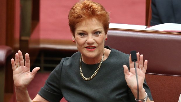 Pauline Hanson has been accused by Rob Culleton of ''personal attacks and undermining''.