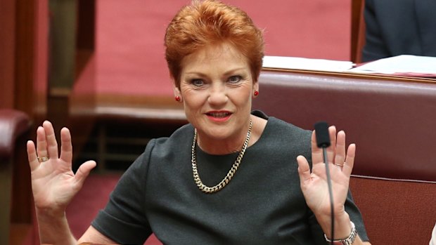 Pauline Hanson has been accused by Rob Culleton of ''personal attacks and undermining''.