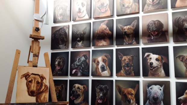 More than half of the money paid for each portrait will be donated to Animal Welfare League Queensland.
