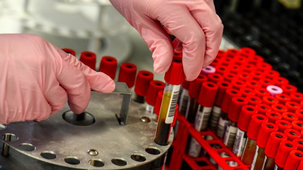 HIV testing is improving among some Australian groups at the greatest risk of infection.