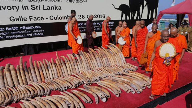 Sri Lankan Buddhist monks give blessings for a better rebirth to African elephants killed by poachers.