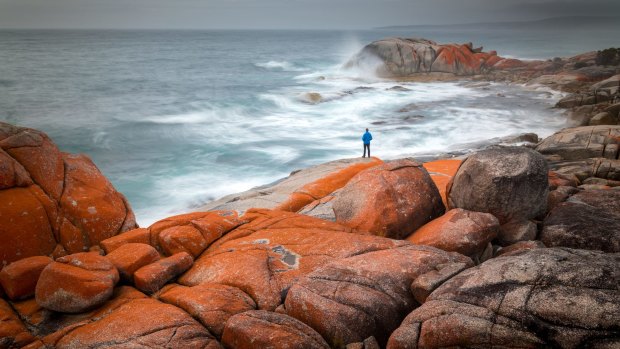 The Bay of Fires in Tasmania.