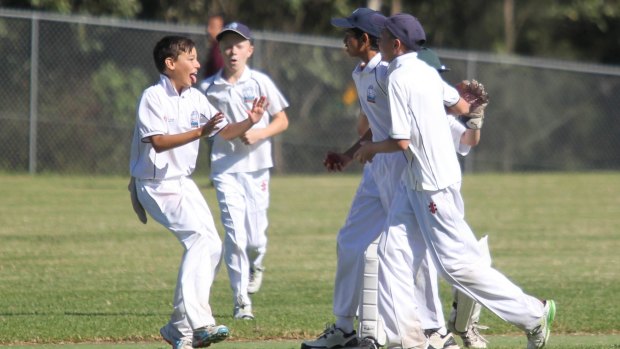 Number crunching: In NSW, close to 20 per cent of 5 to 12-year-old boys play cricket. In the 13-18 age group, that drops by half.