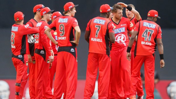Red alert: James Pattinson is congratulated by his teammates after dismissing Jacques Kallis.