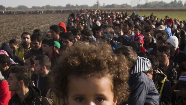 A river of migrants moves through Slovenian fields after crossing from Croatia last month. 