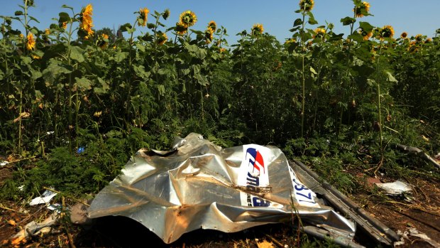 Sunflowers surround the MH17 crash site in East Ukraine. 