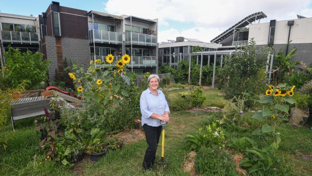 Murundaka resident Kaz Phillips says the ability to take a long-term view is one of the great benefits of gardening in a co-housing arrangement.