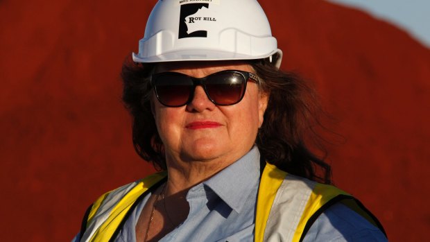 Gina Rinehart's wealth was estimated at $30 billion in 2012. Now, it has shrunk to approximately $11 billion.