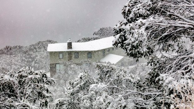 Snow at Mt Hotham on Wednesday.