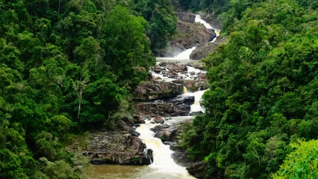 Ranomafana national park.