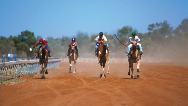 Boulia Camel Races.