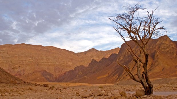  Israel's Arava desert.