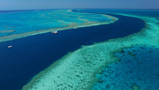 Great Barrier Reef.