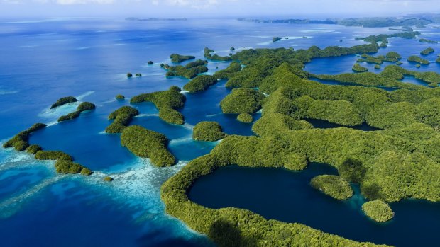 Rock Islands Southern Lagoon and its 445 small limestone islands. 