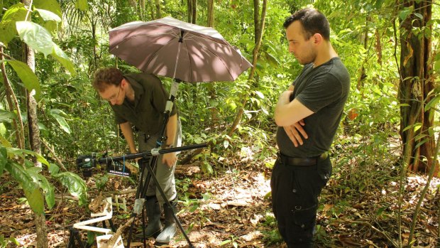 Researchers Chris Reid (left) and Matthew Lutz in the ant jungle.