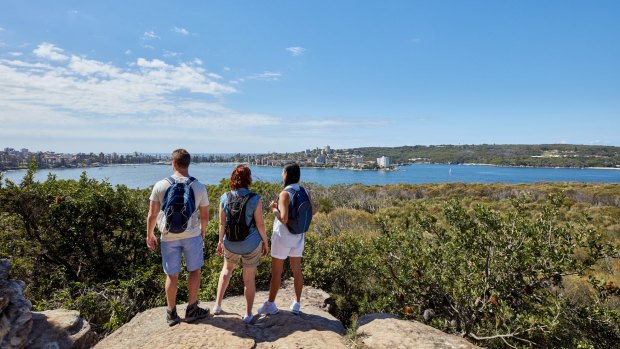 Thew view from Dobroyd Head, Balgowlah Heights. 