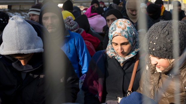 Migrants wait to cross the border from Slovenia, in Spielfeld, Austria, in January 2016.