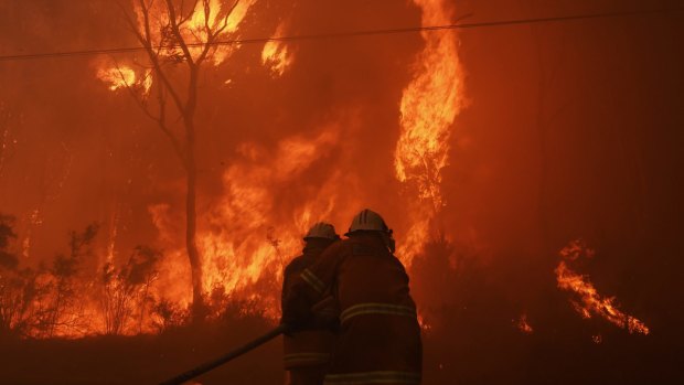A bushfire rages in Londonderry in November as firefighters battle to contain the blaze.