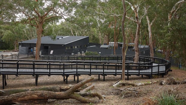The Port Stephens Koala Sanctuary is Australia's first multi-purpose koala facility.